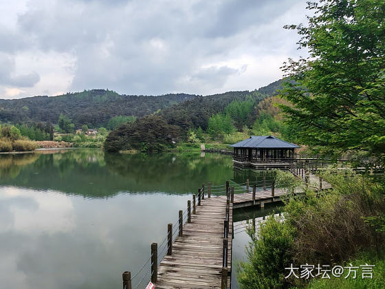 山中春景_景色