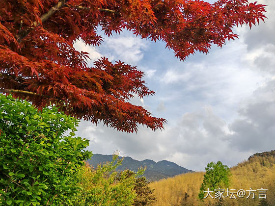 山中春景_景色