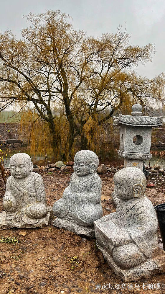 一场雨，一把伞，雨中的加国五台山_旅游