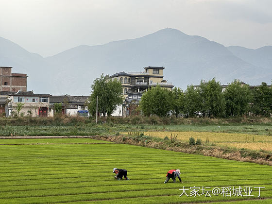 独自旅行快20天了。今天来到了大理自治州下的鹤庆县，_旅游生活