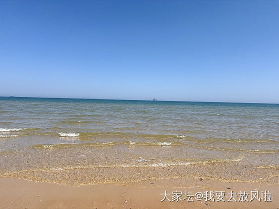 今日份烟台——大海_旅游