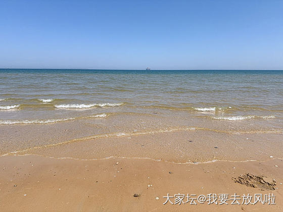 今日份烟台——大海_旅游