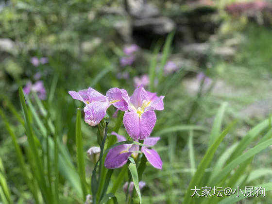 请问万能坛友，西安汉服妆造那里可以做_旅游