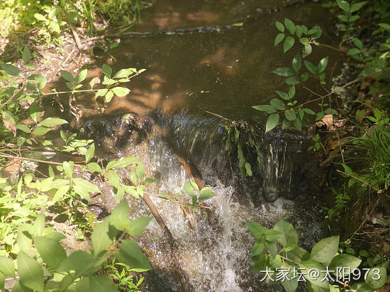 马上27周，爬山去_旅游