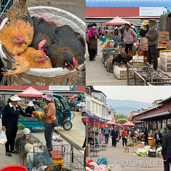 剑川古城赶大集_旅游生活