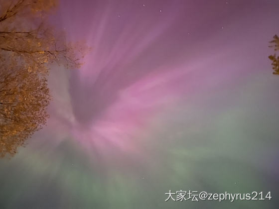 昨夜在家里看到极光_闲聊