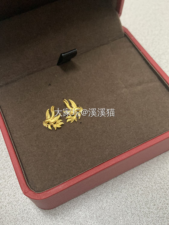 618小羊毛到货_金