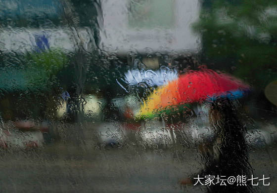 窗外，雨中印象_摄影