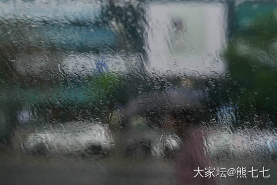 窗外，雨中印象_摄影