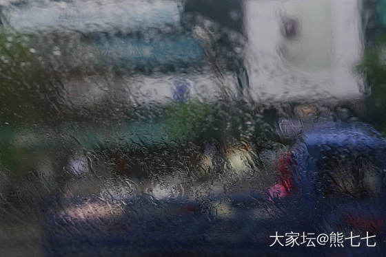 窗外，雨中印象_摄影