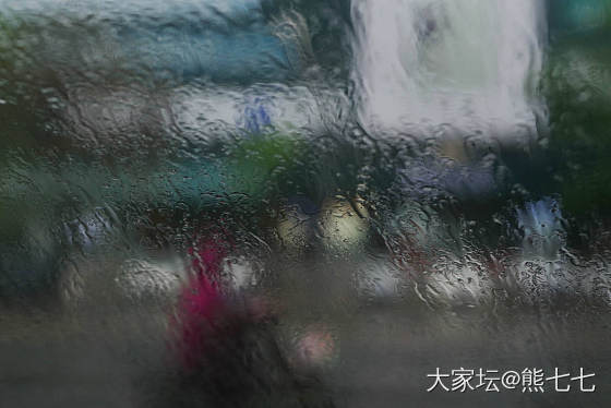 窗外，雨中印象_摄影