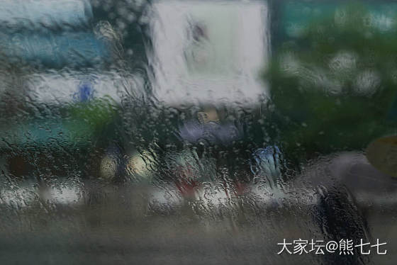 窗外，雨中印象_摄影