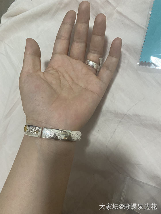 张宝源到啦！_银匠人