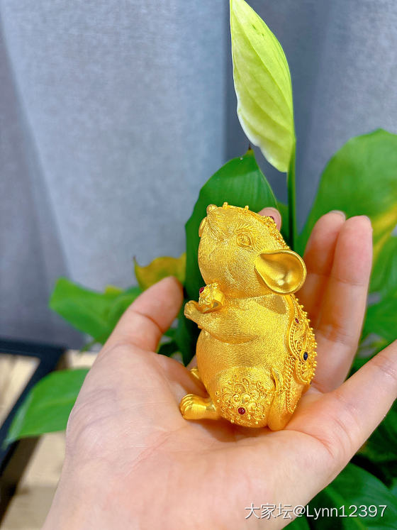 鼠子猜克重啦_金