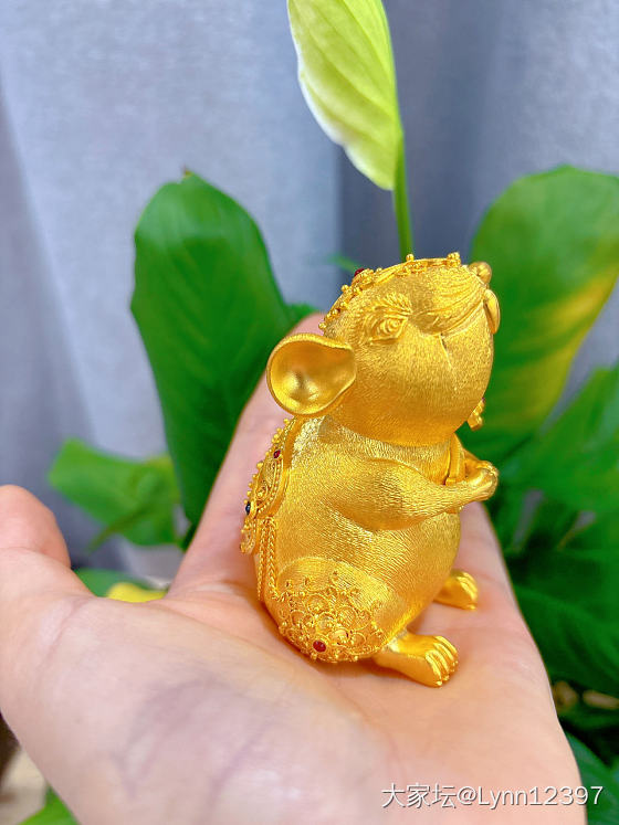 鼠子猜克重啦_金