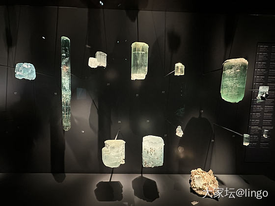 又一个展：尚绿之境-探索祖母绿世界_展会