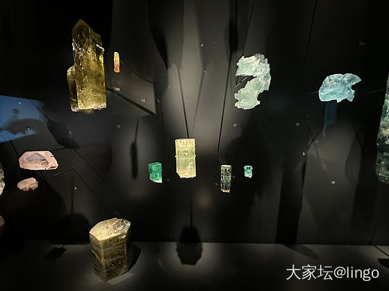 又一个展：尚绿之境-探索祖母绿世界_展会