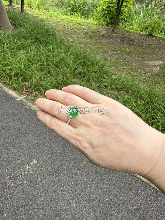 小伙伴在找路，我的眼里只有绿珠_翡翠