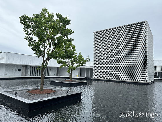 小伙伴在找路，我的眼里只有绿珠_翡翠