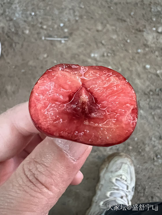 大连双台沟露天樱桃_微商