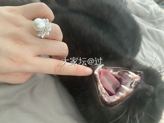 珠子新衣服_珍珠