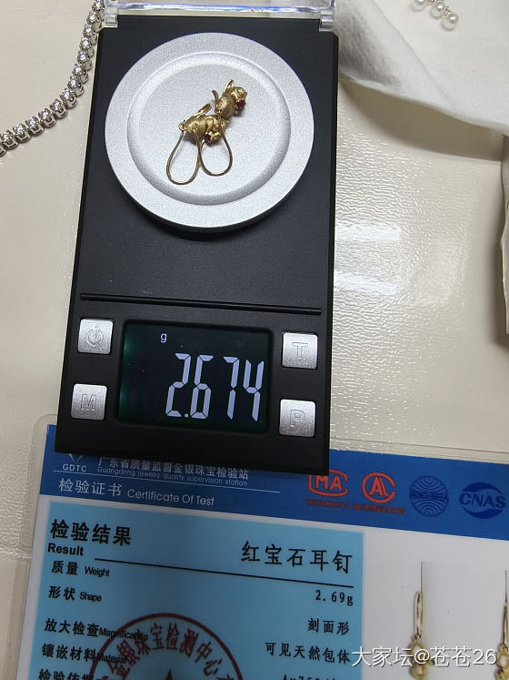 买过克价最贵的兔兔耳钉_金