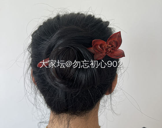 茶花_文玩