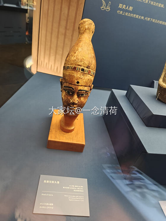 上海埃及展归来_博物馆