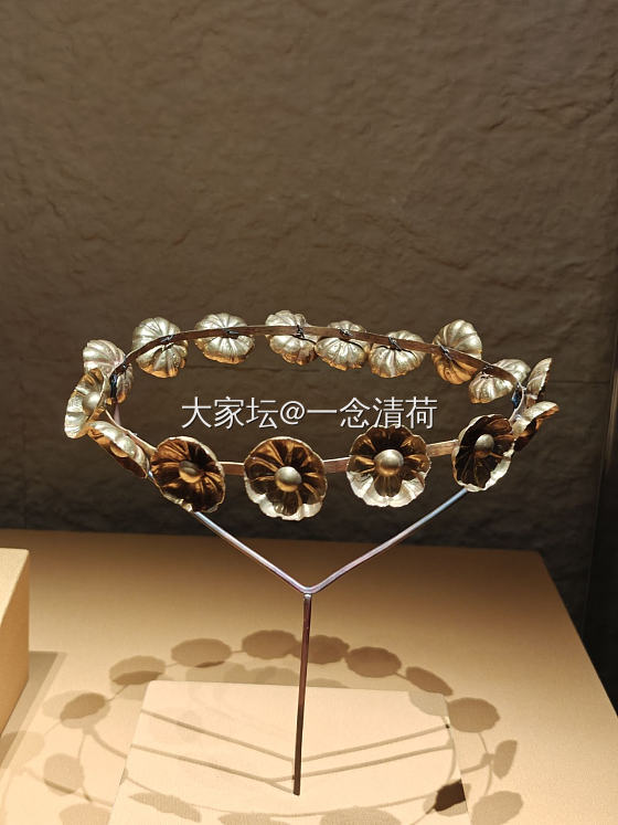 上海埃及展归来_博物馆
