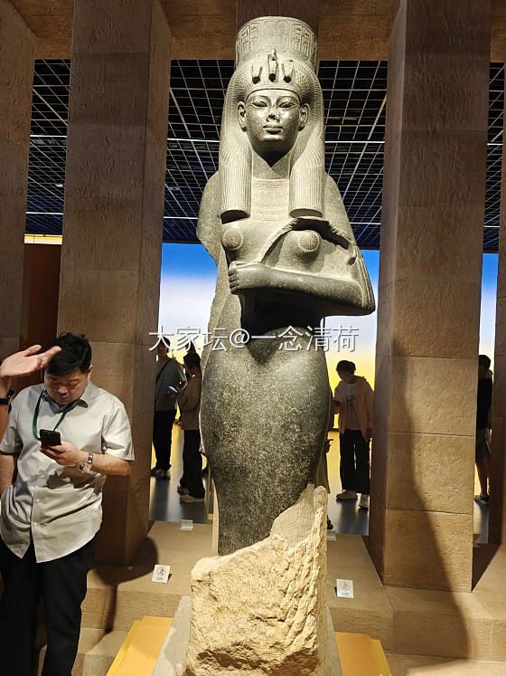 上海埃及展归来_博物馆