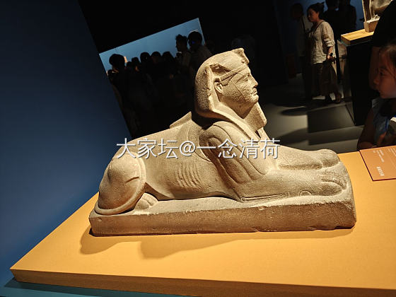 上海埃及展归来_博物馆