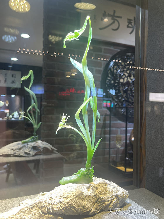 苏州之旅欣赏贴_和田玉