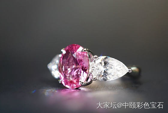 ##中颐天然莲花蓝宝石戒指##  2.60ct_蓝宝石名贵宝石