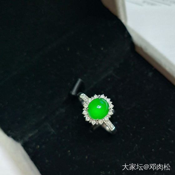 八月份入的小可爱们_翡翠金