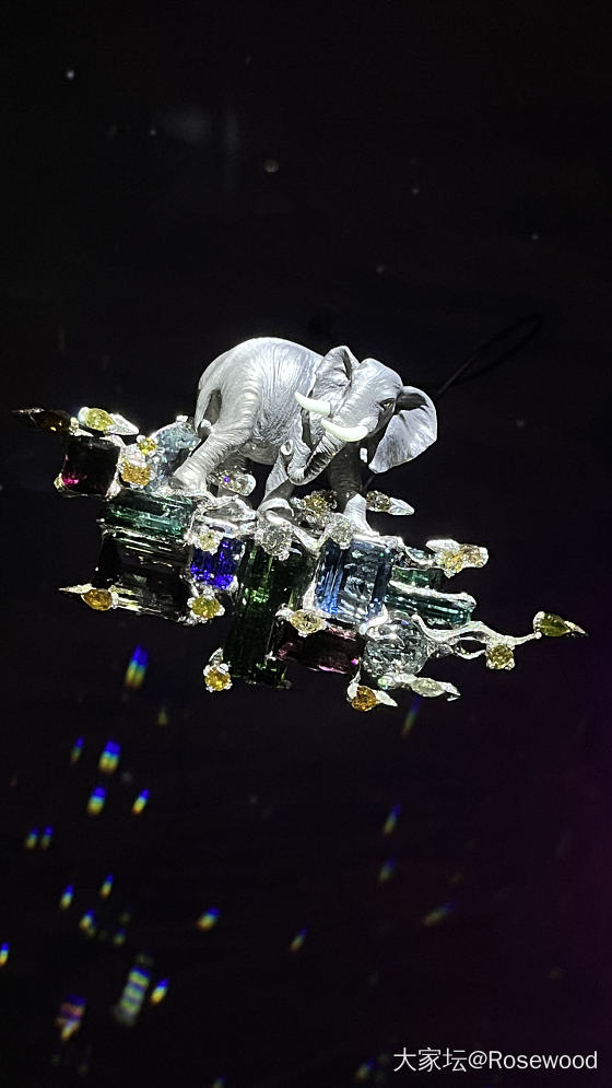 陈世英—半世纪珠宝展_首饰