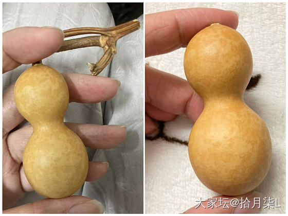 好喜欢葫芦啊_葫芦