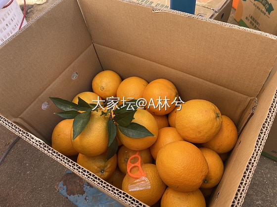 再过俩个月又要走街串巷的卖脐橙🍊了_微商