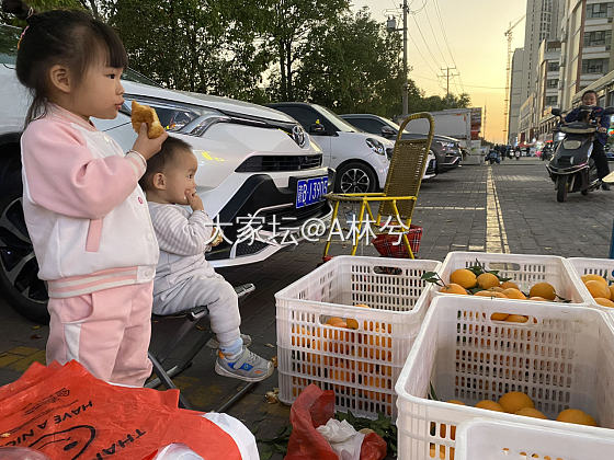 再过俩个月又要走街串巷的卖脐橙🍊了_微商