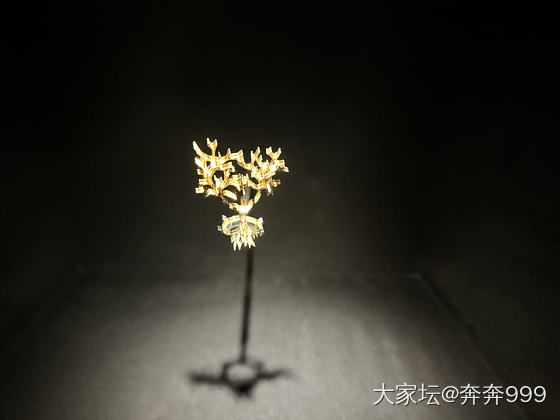 迪奥 倾世之金 展览_博物馆