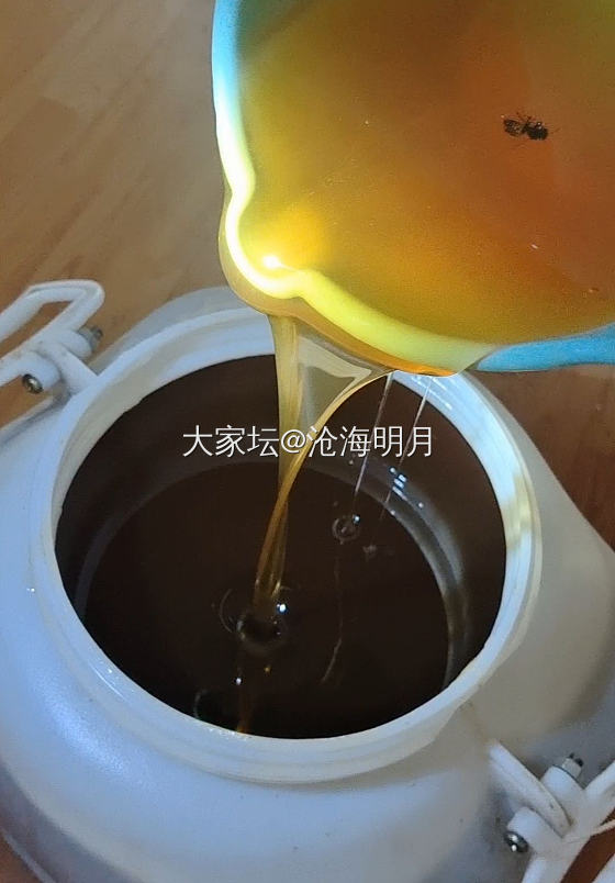 原生态好蜂蜜，来自新疆阿勒泰自家养蜂人打的山花蜜百花蜜_品味