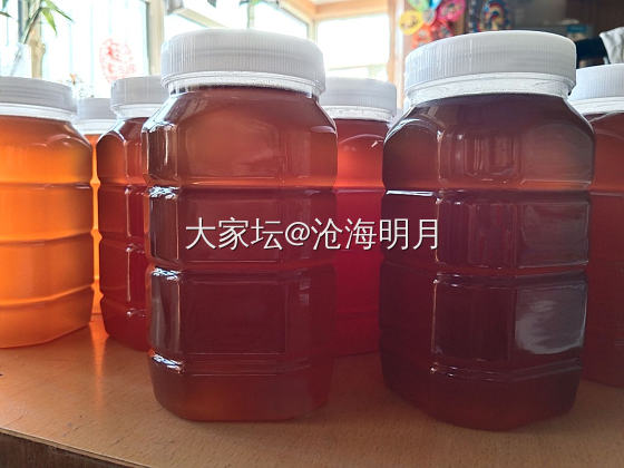 原生态好蜂蜜，来自新疆阿勒泰自家养蜂人打的山花蜜百花蜜_品味