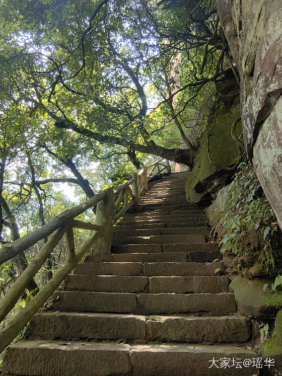 风景，小花，