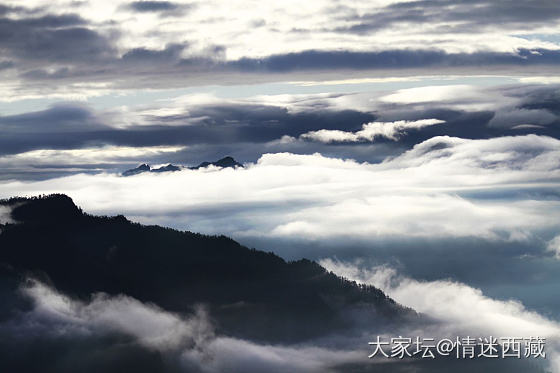 二郎山喇叭河云海_摄影