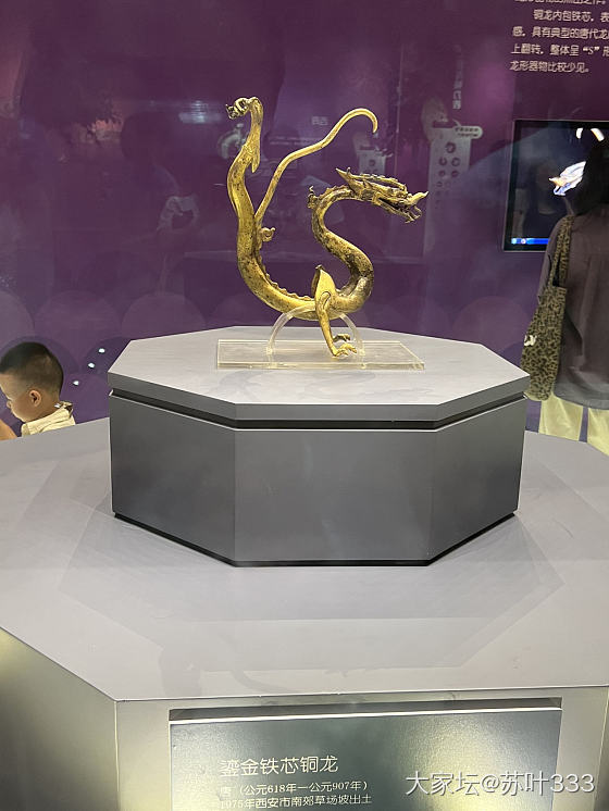陕历博第三展馆和第四展馆（何家村）的金器_博物馆