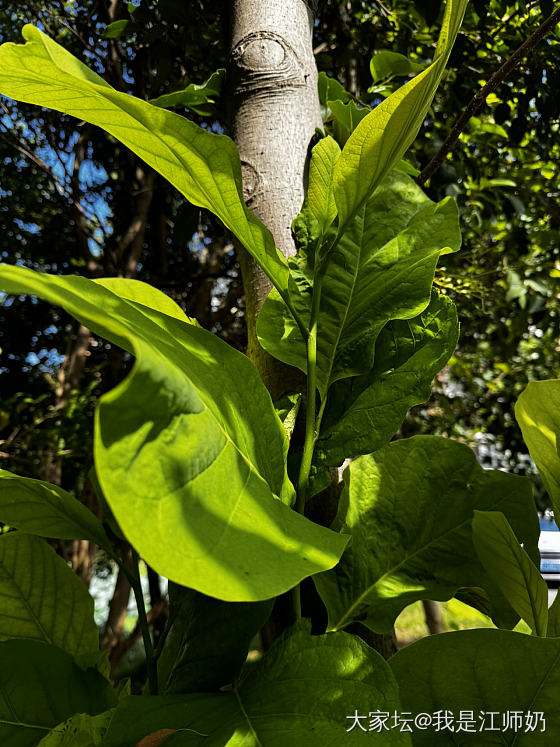 队友说：“明明有地方坐，为啥要蹲着？”（塘边上有椅子。）

“哈哈哈哈你管我！”_银金