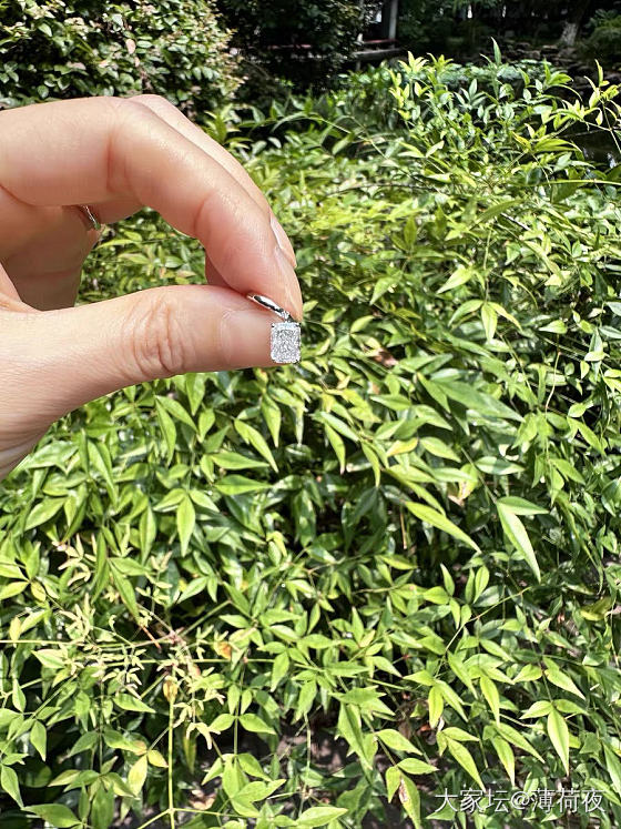 有没有姐妹来认领这对雷迪恩_培育钻
