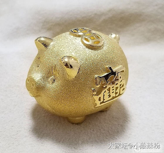 🐖🐖开会_金