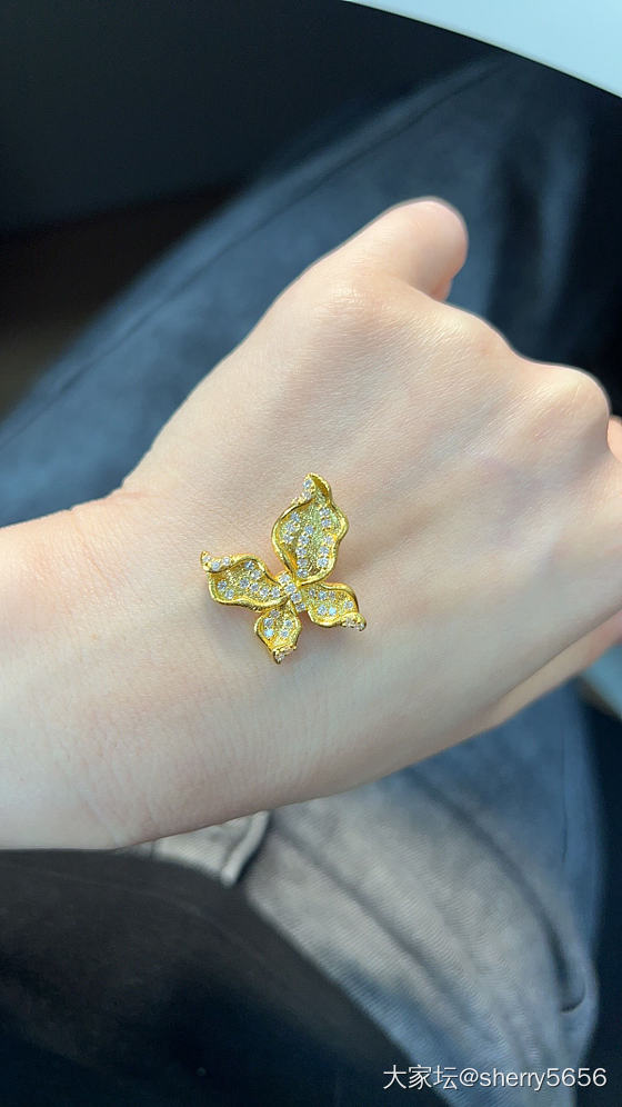 曼舞蝴蝶到货啦_福利社金