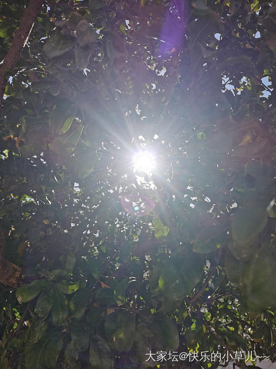 秋日～老山檀～_珠串老山檀