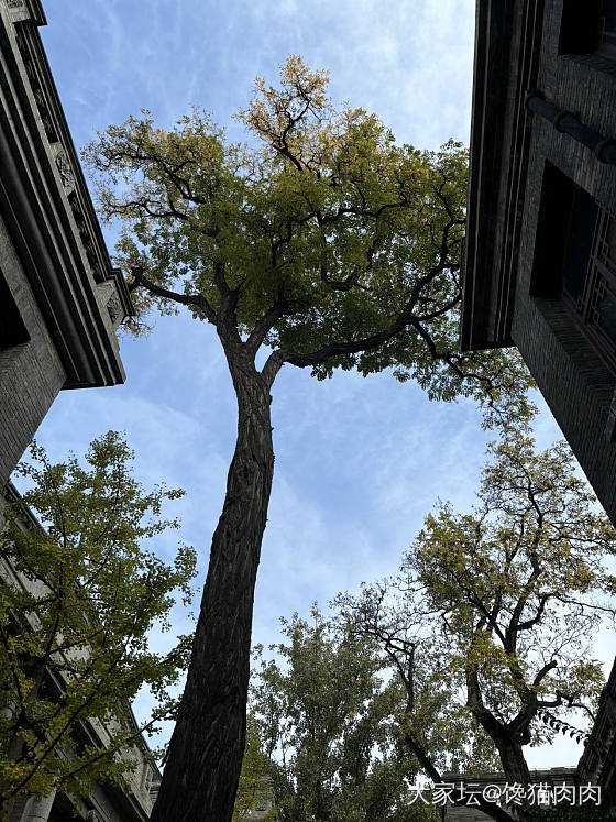 2024.10.19 山西博物院_陶器博物馆青铜器